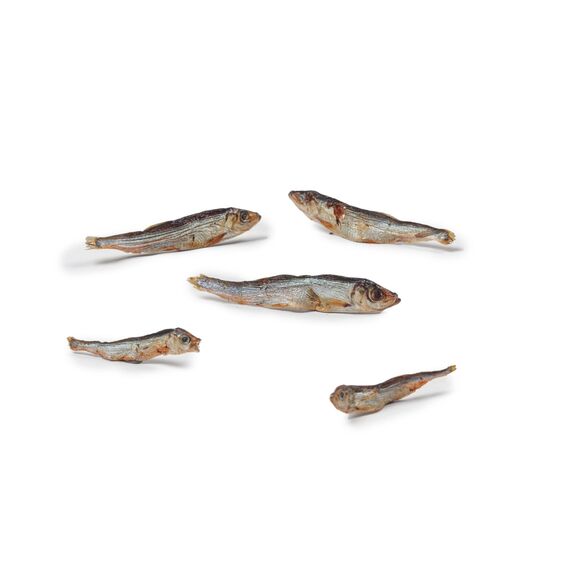 DIBO Fisch 200g-Beutel | Sprotte | Baltic Hering, getrocknet, Snack oder Leckerli für Hunde, Barf Topping, Hundefutter | wertvolle Omega-3- und Omega-6-Fettsäuren | als Snack für Katzen geeignet