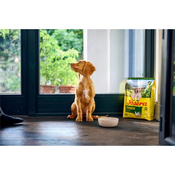 JOSERA Junior YoungStar Huhn & Kartoffel (1 x 900 g) | Premium Trockenfutter für wachsende Hunde | Welpenfutter für mittlere und große Rassen zur optimalen Versorgung | getreidefrei | 1er Pack