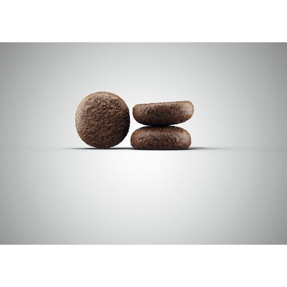 JOSERA Young Star (1 x 15 kg) | Junior | Premium Trockenfutter für wachsende Hunde | Geflügel & Kartoffel | getreidefrei | Welpenfutter für mittlere und große Rassen | Hundefutter | 1er Pack