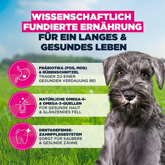 Eukanuba Welpenfutter mit frischem Huhn für kleine Rassen, Premium Trockenfutter für Junior Hunde, 7,5 kg