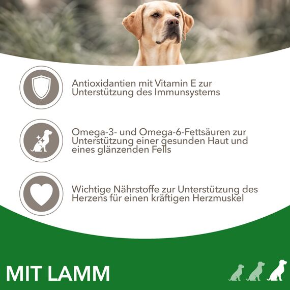 IAMS Hundefutter trocken mit Lamm - Trockenfutter für erwachsene Hunde ab 1 Jahr, geeignet für große Hunde, 12 kg