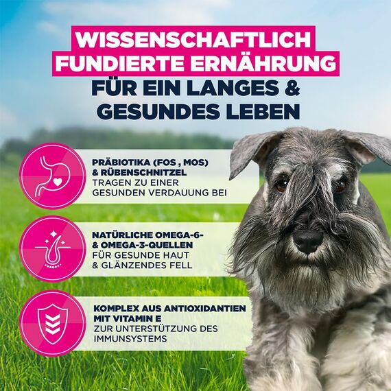 Eukanuba Hundefutter Trocken mit frischem Huhn für kleine Rassen, Premium Trockenfutter für ausgewachsene Hunde, 3 kg
