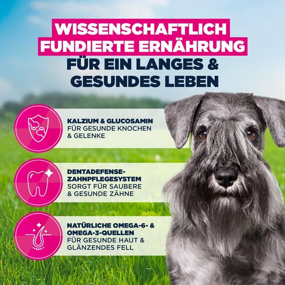 Eukanuba Hundefutter Trocken mit frischem Huhn für kleine Rassen, Premium Trockenfutter für reife Hunde, 7,5 kg