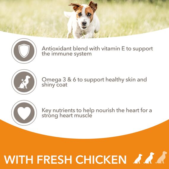 IAMS Hundefutter trocken mit Huhn - Trockenfutter für Erwachsene Hunde ab 1 Jahr, geeignet für kleine & mittelgroße Hunde, 3 kg