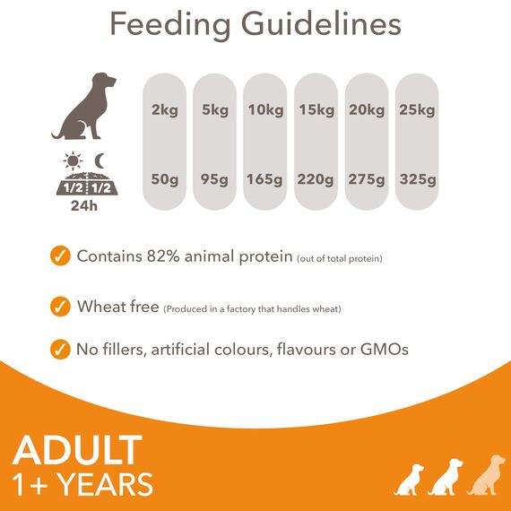 IAMS Hundefutter trocken mit Huhn - Trockenfutter für Erwachsene Hunde ab 1 Jahr, geeignet für kleine & mittelgroße Hunde, 3 kg