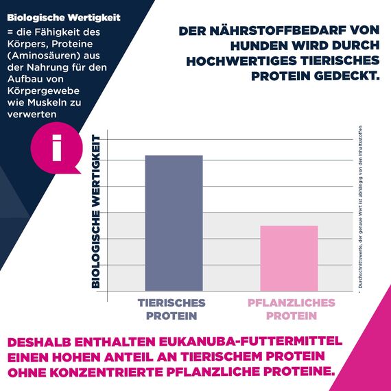 Eukanuba Senior Hundefutter mit frischem Huhn für kleine Rassen, Premium Trockenfutter für ältere Hunde, 3 kg