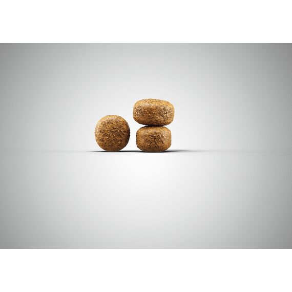 JOSERA Balance (5 x 900 g) | Senior | Premium Trockenfutter für ausgewachsene ältere Hunde | Geflügel & Reis | fett- und eiweißreduziert speziell für Senioren | weizenfrei | Hundefutter | 5er Pack