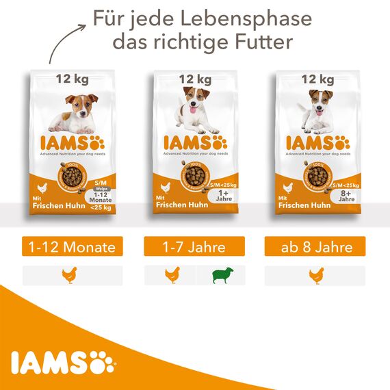 IAMS Hundefutter trocken mit Huhn - Trockenfutter für erwachsene Hunde ab 1 Jahr, geeignet für kleine & mittelgroße Hunde, 5 kg