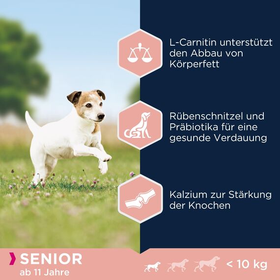 Eukanuba Hundefutter mit frischem Huhn für kleine Rassen, Premium Trockenfutter für Senior Hunde, 15 kg