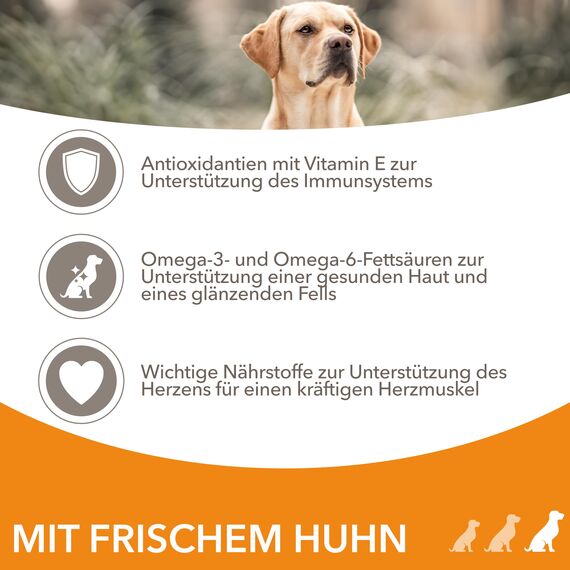 IAMS Hundefutter trocken mit Huhn - Trockenfutter für erwachsene Hunde ab 1 Jahr, geeignet für große Hunde, 5 kg