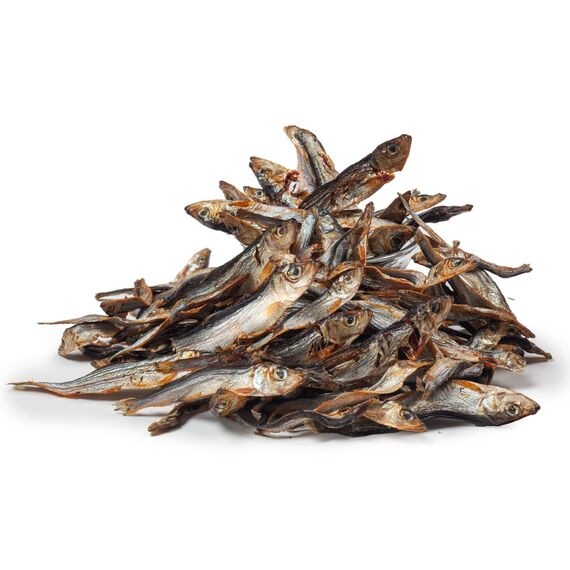 DIBO Fisch 200g-Beutel | Sprotte | Baltic Hering, getrocknet, Snack oder Leckerli für Hunde, Barf Topping, Hundefutter | wertvolle Omega-3- und Omega-6-Fettsäuren | als Snack für Katzen geeignet