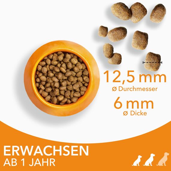 IAMS Hundefutter trocken mit Huhn - Trockenfutter für erwachsene Hunde ab 1 Jahr, geeignet für kleine & mittelgroße Hunde, 5 kg