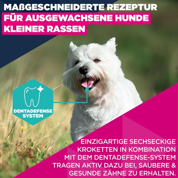 Eukanuba Hundefutter Trocken mit frischem Huhn für kleine Rassen, Premium Trockenfutter für ausgewachsene Hunde, 3 kg