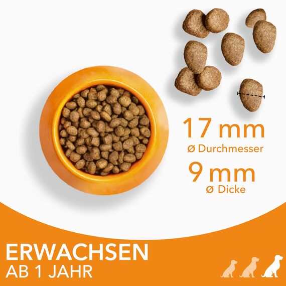 IAMS Hundefutter trocken mit Huhn - Trockenfutter für erwachsene Hunde ab 1 Jahr, geeignet für große Hunde, 5 kg