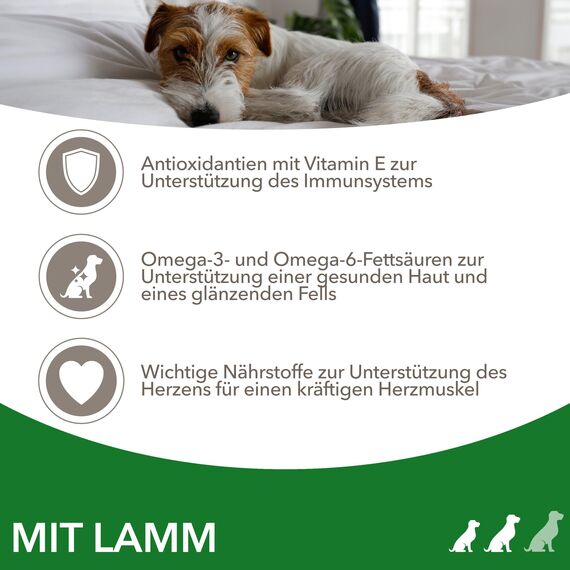 IAMS Hundefutter trocken mit Lamm - Trockenfutter für Erwachsene Hunde ab 1 Jahr, geeignet für kleine & mittelgroße Hunde, 12 kg