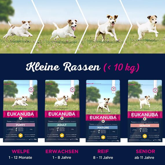 Eukanuba Hundefutter mit frischem Huhn für kleine Rassen, Premium Trockenfutter für Senior Hunde, 15 kg