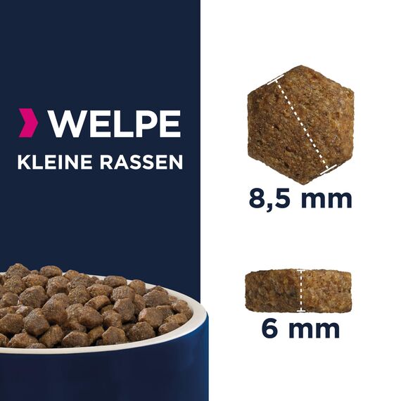 Eukanuba Welpenfutter mit frischem Huhn für kleine Rassen, Premium Trockenfutter für Junior Hunde, 3 kg