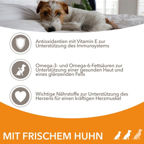 IAMS Hundefutter trocken mit Huhn - Trockenfutter für erwachsene Hunde ab 1 Jahr, geeignet für kleine & mittelgroße Hunde, 5 kg