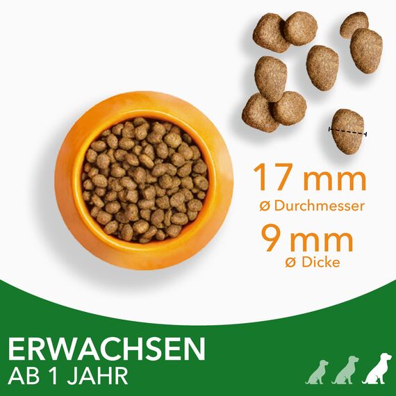 IAMS Hundefutter trocken mit Lamm - Trockenfutter für erwachsene Hunde ab 1 Jahr, geeignet für große Hunde, 12 kg