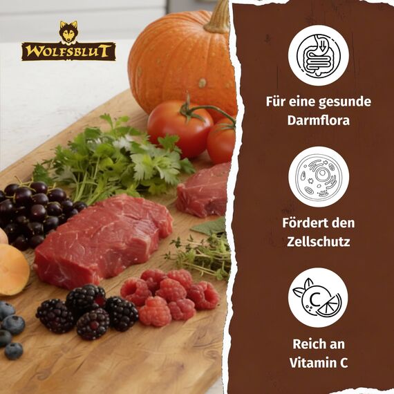 WOLFSBLUT – Wide Plain Adult | Trockenfutter mit wertvollen Superfoods für ausgewachsene Hunde. Getreidefreies Alleinfutter ohne Zusatzstoffe im Beutel | 2x12,5kg + 300g Gratis Squashies Snack