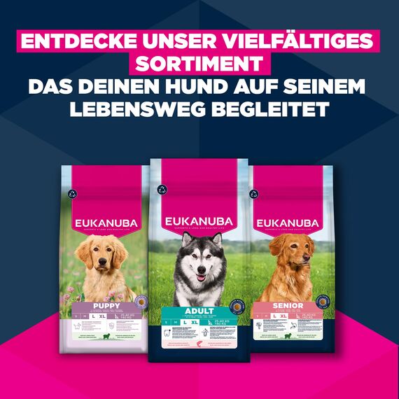 Eukanuba Senior Hundefutter mit frischem Huhn für kleine Rassen, Premium Trockenfutter für ältere Hunde, 7,5 kg