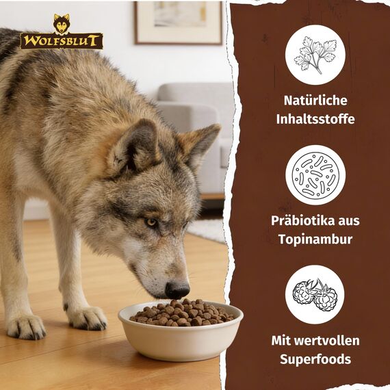 WOLFSBLUT – Wide Plain Adult | Trockenfutter mit wertvollen Superfoods für ausgewachsene Hunde. Getreidefreies Alleinfutter ohne Zusatzstoffe im Beutel | 2x12,5kg + 300g Gratis Squashies Snack