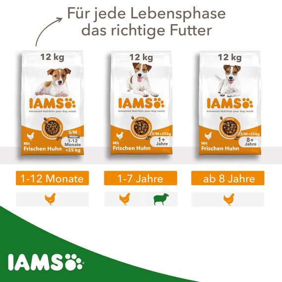 IAMS Hundefutter trocken mit Lamm - Trockenfutter für Erwachsene Hunde ab 1 Jahr, geeignet für kleine & mittelgroße Hunde, 12 kg
