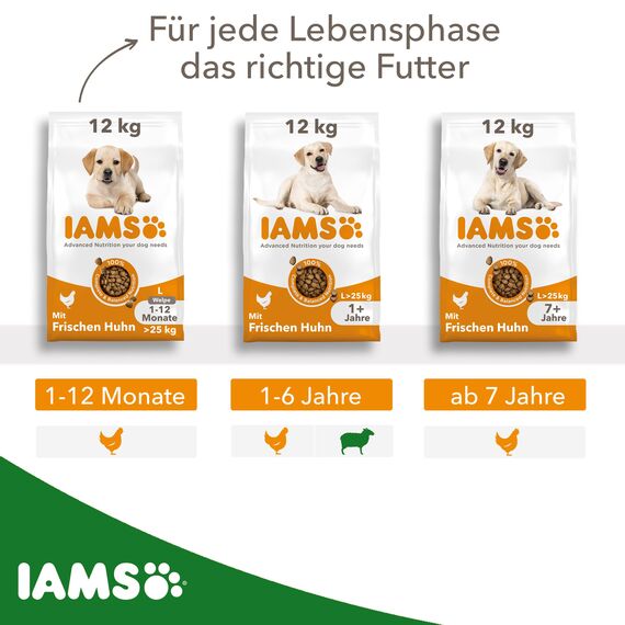 IAMS Hundefutter trocken mit Lamm - Trockenfutter für erwachsene Hunde ab 1 Jahr, geeignet für große Hunde, 12 kg