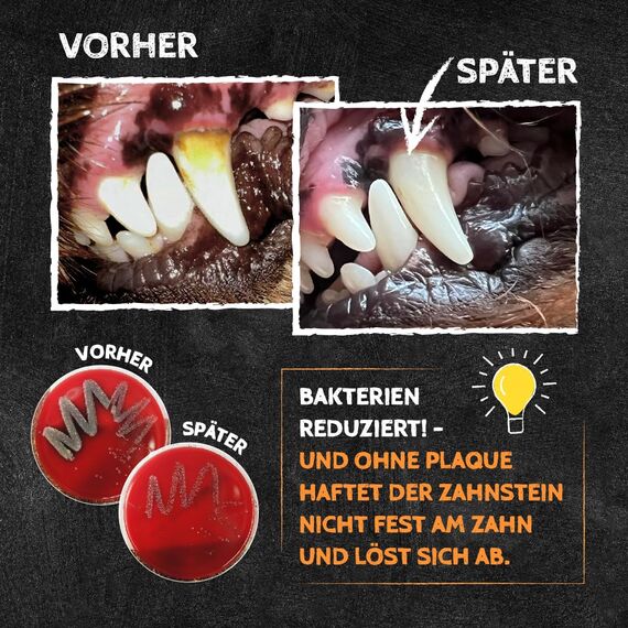QCHEFS SIZZLES: Zahnpflege Snack für kleine Hunde bei Mundgeruch - Leckerlis als Hundezahnbürste natürlich antibakterieller Zahnpflege ohne Dentalspray oder Hundezahnpasta