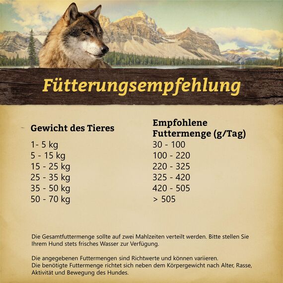 WOLFSBLUT – Wide Plain Adult | Trockenfutter mit natürlichen Zutaten und wertvollen Superfoods für ausgewachsene Hunde. Getreidefreies Alleinfutter ohne Zusatzstoffe im Beutel | 500g Pferd