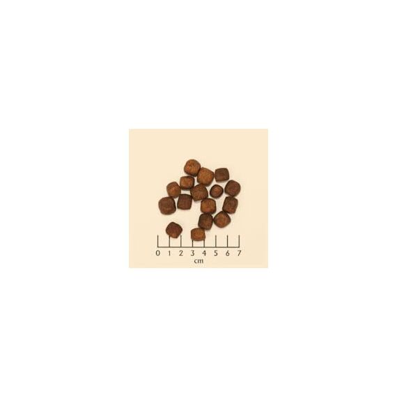 Wolfsblut - Dark Forest - 15 kg - Wild - Trockenfutter - Hundefutter - Getreidefrei