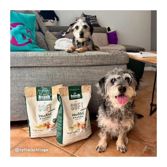 bosch HPC SOFT Mini Wachtel & Kartoffel | halbfeuchtes Hundefutter für ausgewachsene Hunde kleiner Rassen | Single Protein | grain-free | 1 x 2.5 kg