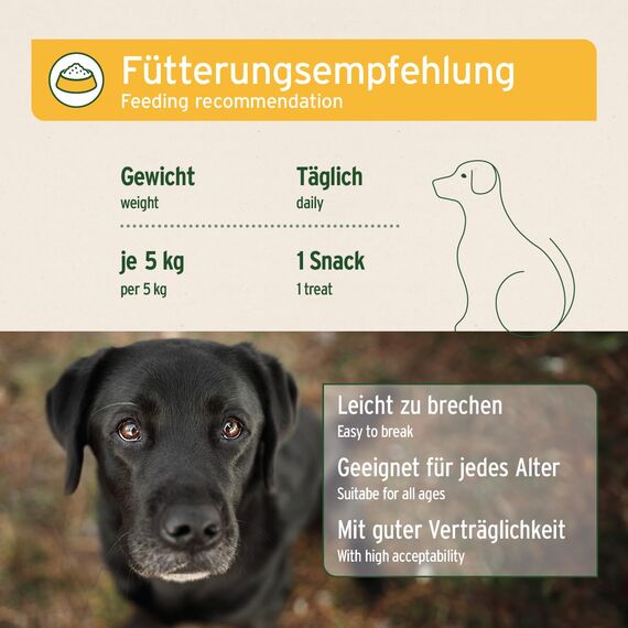 AniForte Magen & Darm Snack für Hunde 300g - Verdauungssnacks mit Probiotika, Heilmoor, fördert Darmregulierung & Verdauung, verbessert die Kotbeschaffenheit, getreidefrei, ohne Zucker