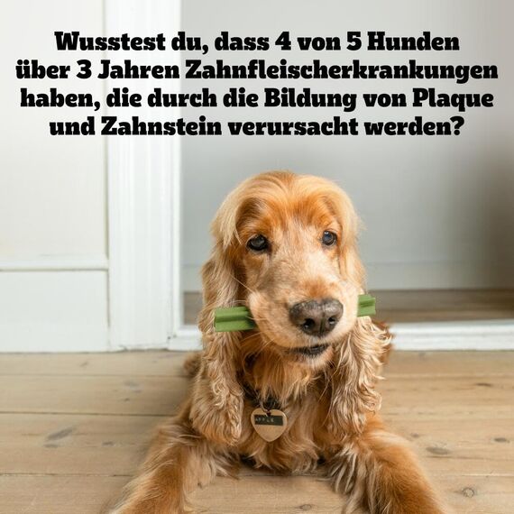 Pedigree Denta Stix Fresh/Zahnpflege-Snack für kleine Hunde
