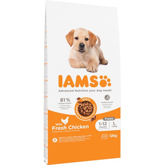 IAMS Junior Hundefutter trocken mit Huhn - Welpenfutter für Welpen im Alter von 1-12 Monaten, geeignet für große Rassen, 12 kg