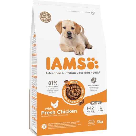 IAMS Junior Hundefutter trocken mit Huhn - Welpenfutter für Welpen im Alter von 1-12 Monaten, geeignet für große Rassen, 3 kg