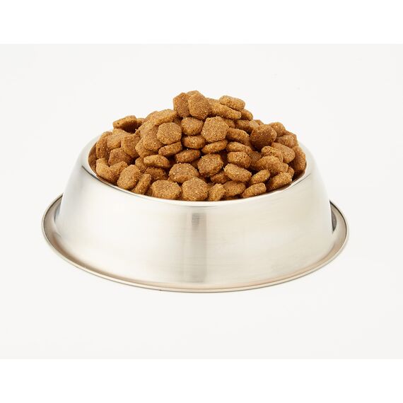 Eukanuba Breed Specific Dackel Trockenfutter - optimal auf die Rasse abgestimmtes Premium Hundefutter mit Huhn, 2,5 kg (Packung mit 2)