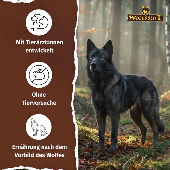 WOLFSBLUT – Dark Forest Adult | Trockenfutter mit natürlichen Zutaten und wertvollen Superfoods für ausgewachsene Hunde. Getreidefreies Alleinfutter ohne Zusatzstoffe im Beutel | 2kg Wild