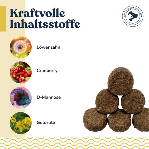 Snack für Hunde mit Cranberries & D-Mannose, ca. 70 Stück – Getreide- & Zuckerfrei mit Ackerschachtelhalm, Löwenzahn, pflanzliche Zutaten in Verbindung mit Blase & Harnwege