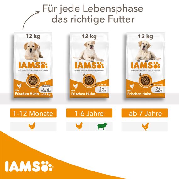 IAMS Junior Hundefutter trocken mit Huhn - Welpenfutter für Welpen im Alter von 1-12 Monaten, geeignet für große Rassen, 12 kg