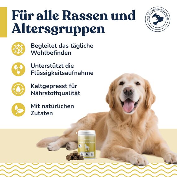 Snack für Hunde mit Cranberries & D-Mannose, ca. 70 Stück – Getreide- & Zuckerfrei mit Ackerschachtelhalm, Löwenzahn, pflanzliche Zutaten in Verbindung mit Blase & Harnwege