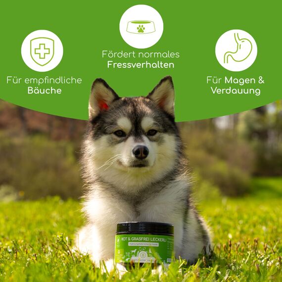 Gras Kotfresser Drops für Hunde – 125 Natürliche Drops gegen Kotfressen & Gras fressen – Mit Bierhefe, Torf & Flohsamen – Beruhigt den Magen & reduziert Sodbrennen – Magenkur