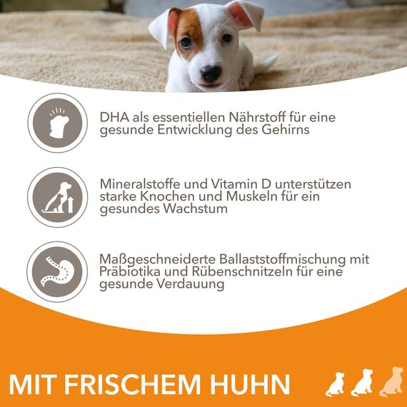 IAMS Junior Hundefutter trocken mit Huhn - Welpenfutter für Welpen im Alter von 1-12 Monaten, geeignet für kleine & mittelgroße Rassen, 12 kg
