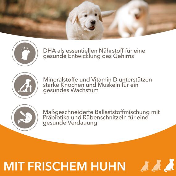 IAMS Junior Hundefutter trocken mit Huhn - Welpenfutter für Welpen im Alter von 1-12 Monaten, geeignet für große Rassen, 3 kg