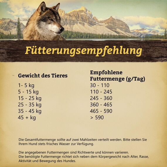 WOLFSBLUT – Wild Duck Senior | Trockenfutter mit natürlichen Zutaten und Superfoods für ältere Hunde. Getreidefreies Alleinfutter ohne Zusatzstoffe im Beutel | 500g Ente