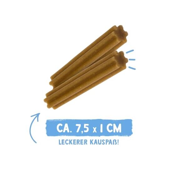 Sammy´s Zahnstengel | Kauriegel Snack für Hunde | Zur aktiven Unterstützung der Zahnpflege |ohne Zuckerzusatz| Natürlich| Fettarm|