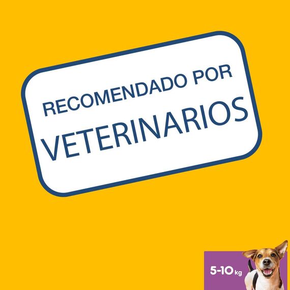 Pedigree DentaStix Daily Oral Care Zahnpflegesnack für kleine Hunde – Hundeleckerli mit Huhn- & Rindgeschmack für jeden Tag – 1 x 56 Stück (Packung mit 2)