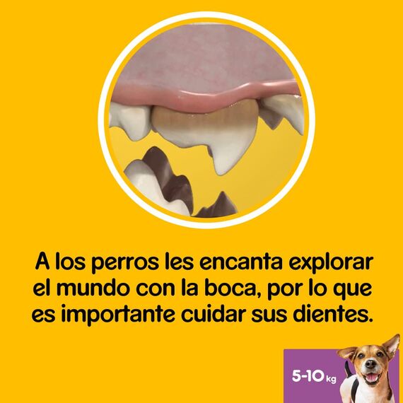 Pedigree DentaStix Daily Oral Care Zahnpflegesnack für kleine Hunde – Hundeleckerli mit Huhn- & Rindgeschmack für jeden Tag – 1 x 56 Stück (Packung mit 2)