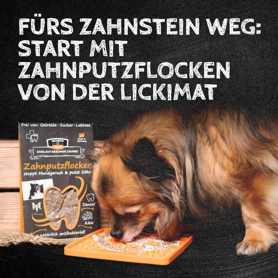 Qchefs 2er Pack MMINIS Zahnpflege-Snack für kleine Hunde bei Mundgeruch & Leckerlis zum Plaque & Zahnstein entfernen mit natürlich antibakterieller Zahnreinigung ohne Dentalspray oder Zahnbürste