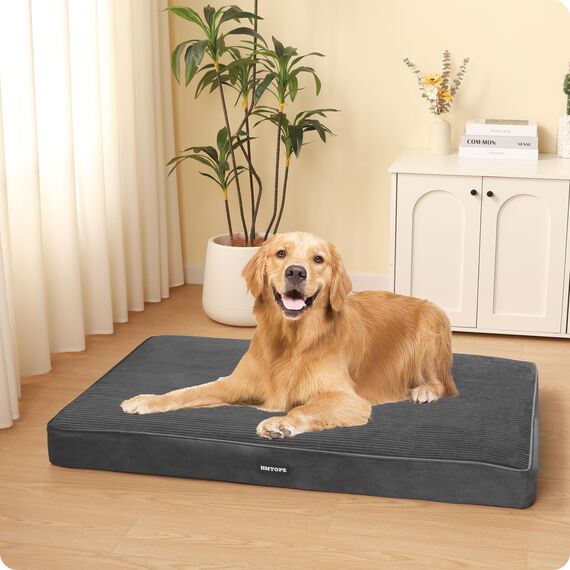 HMTOPE Orthopädisches Hundebett, 10cm Dicke Hundekissen für Mittelgroße Hunde, Grosse Hunde, Abnehmbar und Waschbar Hundematte, rutschfeste Unterseite, Wasserdichtes Innenfutter, 112 cm, Dunkelgrau